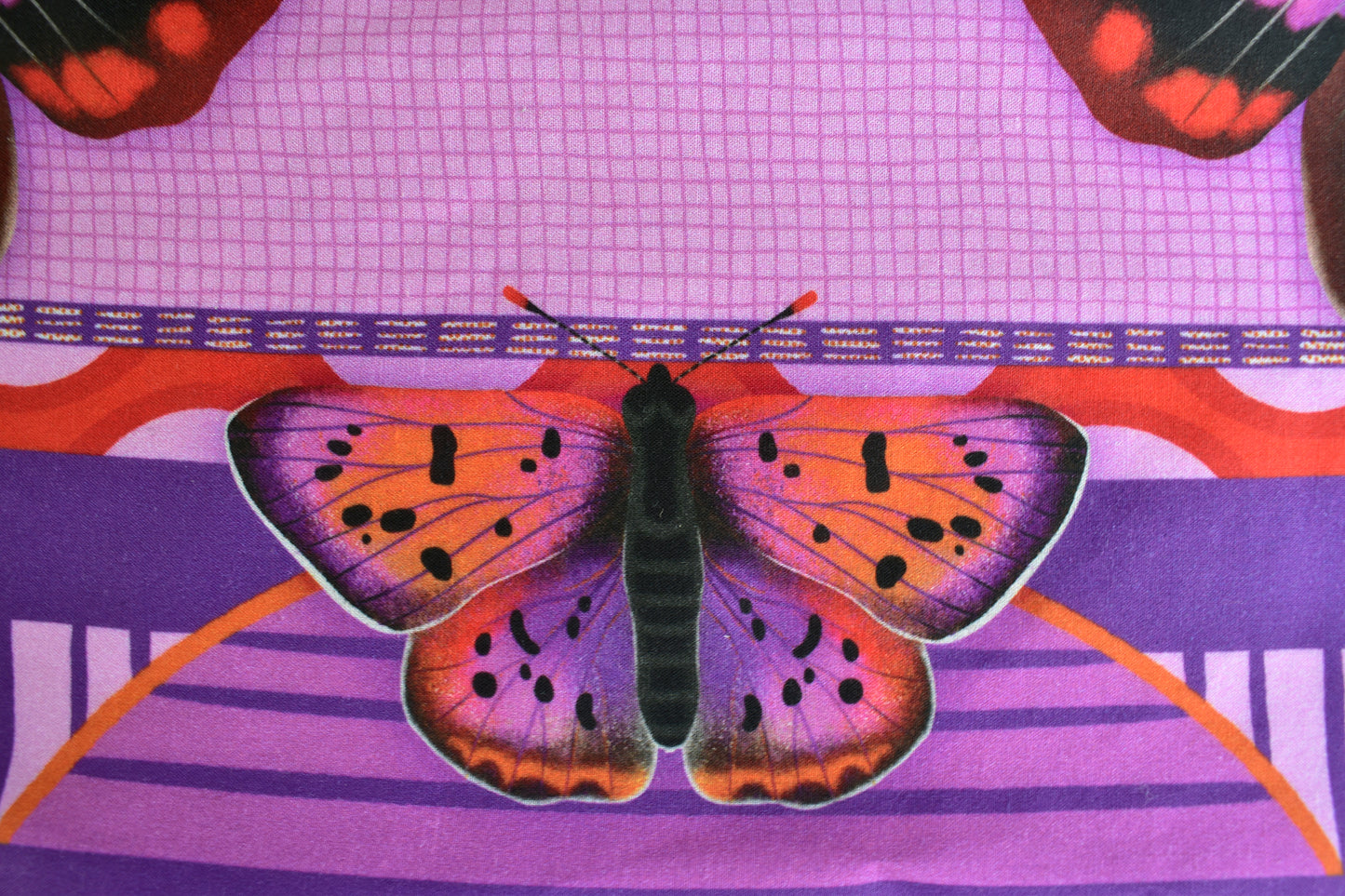 Colorado Hairstreak Butterfly Scarf