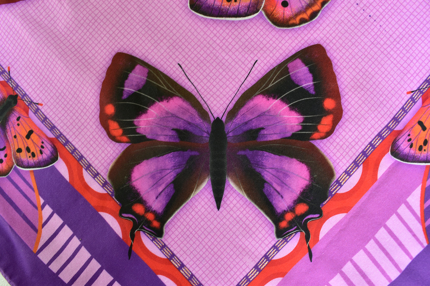 Colorado Hairstreak Butterfly Scarf